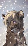  2014 feline fur grey_fur kyander mammal purple_eyes saber-toothed_cat smile snow snowing teeth whiskers 