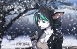  2015 5_fingers anthro black_hair blue_eyes blurred_background breasts cat clothed clothing detailed_background feline female hair kyander mammal smile snow snowing solo 