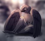  2015 anthro avian beak bird black_beak blurred_background breasts feathered_wings feathers featureless_breasts female kyander prosthetic smile solo white_eyes wings 