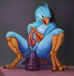  2017 absurd_res anal anal_masturbation anal_penetration animal_genitalia animal_penis anthro anus avian bad_dragon beak big_penis bird blue_feathers butt claws crackers_(bad_dragon) digital_media_(artwork) dildo erection falcon feathers girly green_eyes hi_res knot male masturbation nude open_mouth penetration penis phinja precum saliva sex_toy simple_background smile solo tongue toying_self 