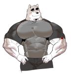  2019 anthro biceps canine clothed clothing fur hi_res kemono male mammal muscular muscular_male syukapong 