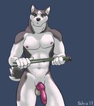  2017 abs animal_genitalia animal_penis anthro athletic balls canine canine_penis dog heterochromia husky invalid_tag looking_at_viewer male mammal muscular navel nude pecs penis sckra_(artist) solo tools 