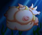  floatzel nintendo pokemon tagme 