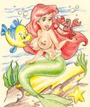  ariel disney flounder sebastian the_little_mermaid 