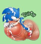  karlo paheal rule_34 sega sonic_team sonic_the_hedgehog 