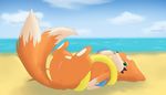  floatzel nintendo pokemon tagme 