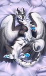  black_nose blue_eyes blue_pawpads claws dragon feathers fur furred_dragon grey_fur horn kyander lying on_back pawpads smile white_feathers white_fur 