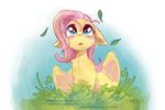  blue_eyes blush equine female fluttershy_(mlp) friendship_is_magic hair mammal my_little_pony pegasus pink_hair solo stepandy wings 