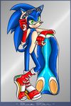  blue_fur boots carriepika_(artist) clothing eyewear footwear fur gloves goggles green_eyes hoverboard multicolored_fur smile sonic_(series) sonic_riders sonic_the_hedgehog tan_fur two_tone_fur 