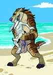  2013 4_toes 5_fingers 5_toes anal anal_penetration andrewsarchus animal_genitalia anthro anthro_on_anthro arm_grab athletic balls barefoot beach big_dom_small_sub big_nose big_penis biped brown_fur brown_hair brown_stripes butt butt_grab chest_tuft claws cloud countershade_face countershade_torso countershading cum cum_drip cum_from_ass cum_in_ass cum_inside cum_string cumshot daz digital_drawing_(artwork) digital_media_(artwork) digitigrade dripping duo ears_back ejaculation eyes_closed fangs feet floppy_ears full-length_portrait fur grey_nose hair hand_on_butt holding_character humanoid_feet humanoid_hands humanoid_penis in_mouth inner_ear_fluff interspecies lagomorph leaking long_ears male male/male male_penetrating mammal mane_hair messy mottled_penis multicolored_fur navel nude oral_vore orgasm outside penetration penis penis_size_difference pink_penis portrait public purple_tongue rabbit saggy_balls saliva saliva_string sand sea seaside sex shaggi sharp_teeth sheath short_tail size_difference sky stand_and_carry_position standing striped_fur stripes tan_countershading tan_fur teeth thick_penis toes tuft vore water whiskers white_fur 