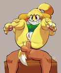  &lt;3 &lt;3_eyes 2017 5_fingers anal animal_crossing anthro balls bottomless breasts camel_toe claws clothed clothing digital_media_(artwork) duo erection eyelashes faceless_male female female_on_top fur hairband hi_res human isabelle_(animal_crossing) legs_up lilmoonie male male/female mammal nintendo on_top panties panties_aside sex smile underwear underwear_aside video_games white_panties yellow_fur 