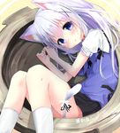  :o animal_ears bangs black_skirt blue_bow blue_eyes blue_neckwear blue_vest blush bow bowl bowtie cat_ears cat_tail commentary_request eyebrows_visible_through_hair gochuumon_wa_usagi_desu_ka? hair_between_eyes in_container kafuu_chino kemonomimi_mode kneehighs knees_together_feet_apart kouda_suzu light_blue_hair long_hair looking_at_viewer lying neko_nabe on_side oversized_object parted_lips rabbit_house_uniform red_collar ribbon shirt short_sleeves signature skirt solo tail tail_ribbon two-tone_background vest white_legwear white_shirt 