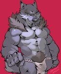  anthro bulge canine clothing e-w01f male mammal muscular underwear 