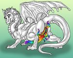  dragon feral herm intersex lurkinator maleherm mherm penis presenting pussy rainbow simple_background tentacles teraunce 