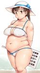  1girl beach bikini blush braid breasts brown_eyes brown_hair cowboy_shot erect_nipples fat fat_folds female hat large_breasts looking_at_viewer navel original orizen plump sagging_breasts solo standing thick_thighs thighs 