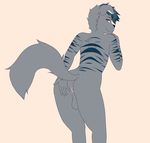  anthro anticipation anus balls butt canine hair invalid_tag looking_at_viewer male mammal meowren piercing presenting simple_background stripes wolf 
