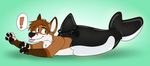  canine cetacean fox inflatable kyotofox mammal marine orca pool_toy shikakaka transformation whale 