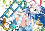  alice_(wonderland) animal_ears blue_eyes blue_sky blush bunny_ears chinomaron cloud commentary_request gochuumon_wa_usagi_desu_ka? highres kafuu_chino key kneehighs long_hair looking_at_viewer pocket_watch silver_hair sky striped striped_legwear watch window 