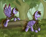  cutie_mark detailed_background equine eyewear fan_character feathered_wings feathers glasses grass green_eyes mammal my_little_pony pegasus pridark purple_feathers sibling twins wings 