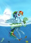 blue_feathers day equine feathered_wings feathers female feral fish friendship_is_magic group hair hooves mammal marine multicolored_hair my_little_pony partially_submerged pegasus pridark rainbow_dash_(mlp) rainbow_hair sky water wings 