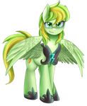  alpha_channel blonde_hair cutie_mark equine fan_character feathered_wings feathers green_eyes green_feathers green_hair hair mammal my_little_pony pegasus pridark simple_background smile transparent_background wings 
