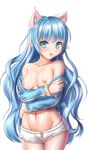  animal_ears bare_shoulders blue_eyes blue_hair blush breasts cat_ears collarbone dungeon_and_fighter eyebrows_visible_through_hair long_hair looking_at_viewer medium_breasts navel nipples parted_lips rommeling 
