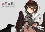  akaiha_(akaihasugk) bird black_hair collared_shirt commentary_request crossed_arms crow feathered_wings frilled_skirt frills hat md5_mismatch neck_ribbon pointy_ears red_eyes ribbon shameimaru_aya shirt short_hair short_sleeves skirt smile squatting tokin_hat touhou translated wings 