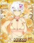  1girl breasts large_breasts miyabi_(senran_kagura) senran_kagura solo tagme 