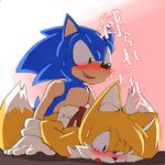  2017 anal anal_penetration anthro black_nose blue_body blue_eyes blush bound canine duo fox fur giga_(artist) gradient_background green_eyes hedgehog japanese_text male male/male mammal miles_prower open_mouth penetration questionable_consent sex simple_background sonic_(series) sonic_the_hedgehog sweat tears text white_fur yellow_fur 