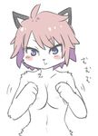  artist_request breasts_covering cat furry pink_hair purple_eyes 