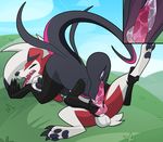  balls black_scales blitzdrachin canine claws cum fellatio female fur internal knot long_tail lycanroc lying male male/female mammal midnight_lycanroc nintendo on_back oral paws penis pok&eacute;mon red_fur reptile rubber salazzle scales scalie sex spread_legs spreading tongue video_games white_fur 