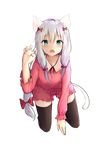  :o all_fours animal_ears blue_eyes blush bow cat_ears cat_tail claw_pose commentary eromanga_sensei eyebrows_visible_through_hair fang hair_bow highres izumi_sagiri kayakooooo long_hair looking_at_viewer open_mouth pet_play pink_bow revision signature silver_hair solo tail thighhighs transparent_background 