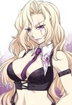  bibyo blonde_hair breasts bug cleavage large_breasts long_hair looking_at_viewer midriff necktie purple_hair ring_dream scar smile solo spider spider_kikuchi wrestling_outfit 