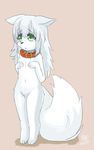  artist_request breasts_covering dog furry green_eyes grey_hair long_hair 