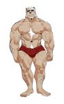  2018 5_fingers abs anthro biceps digital_media_(artwork) fur kemono male mammal muscular muscular_male nipples solo syukapong 