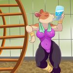  2017 anthro areola beverage breasts camel_toe clothed clothing drinking exercise eyes_closed female hamster lonbluewolf mammal nipples rodent solo sweat workout 