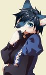  anthro blue_eyes blue_fur blue_hair canine clothed clothing dog female fur hair mammal ryuuzenga simple_background solo white_background 