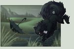  black_fur brown_eyes canine detailed_background dog foxiful fur grass mammal water 