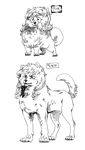  2017 alternate_species before_and_after canine cheek_tuft curled_tail digitigrade dog drooling english_text eyelashes female feral feralized fluffy fluffy_tail front_view hair hybrid jindo kemono kishu_inu korean_text long_tail mammal multiple_poses nude open_mouth open_smile pawpads paws pencil_(artwork) pigtails pomeranian pose quadruped raised_tail ryonggay saliva scar simple_background smile solo standing text traditional_media_(artwork) translation_request tuft white_background yong-sil_(ryonggay) 