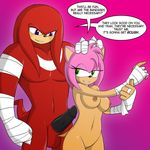  amy_rose anthro balls bandage black_penis breasts dialogue duo echidna erection female fur green_eyes hand_on_head hand_wraps hedgehog hi_res imminent_sex knuckles_the_echidna larger_male looking_back looking_down male mammal marik_azemus34 monotreme muscular navel nipples nude pecs penis pink_fur purple_eyes red_fur size_difference smaller_female smile sonic_(series) sonic_boom tan_skin teeth text wraps 
