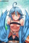  2017 anthro areola avian blue_hair blue_wings blush breasts clitoris duo erect_nipples feathered_wings feathers female hair harpy looking_at_viewer male male/female monster_musume nipples outside pablocomics papi_(monster_musume) penetration penis pubes pussy raised_shirt sex shorts_aside small_breasts vaginal vaginal_penetration wings yellow_eyes 