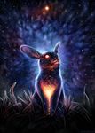  2017 ambiguous_gender detailed_background feral grass isvoc lagomorph mammal night outside rabbit sky solo star starry_sky whiskers 