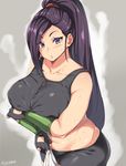  bare_shoulders belly breasts collarbone curvy dragon_quest dragon_quest_xi fingerless_gloves gloves highres large_breasts lips looking_at_viewer martina_(dq11) moisture_(chichi) navel plump ponytail purple_eyes purple_hair solo 