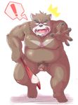  ! anthro bear clothing juuichi_mikazuki kemono koginoro_28 male mammal morenatsu nude overweight overweight_male penis pubes simple_background solo underwear white_background 