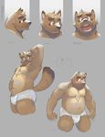  2015 absurd_res anthro belly blush briefs brown_eyes brown_fur bulge canine chest_tuft clothed clothing cute digital_media_(artwork) dog eyes_closed fur grey_background hair half_naked hand_on_stomach hi_res kounosuke_(morenatsu) looking_at_viewer loverslessthanthree male mammal morenatsu muscular nipples open_mouth partially_clothed pecs simple_background slightly_chubby smile solo standing tanuki teeth tighty_whities tuft underwear 