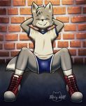  bulge canine clothing cub cute footwear male mammal shoes short sneakers tobby tobby_wolf(cubrubber) uniform wolf young 