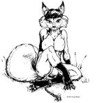  1993 breasts canine doug_winger female fox mammal nipples nude solo 