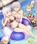  :d absurdres ahoge animal bangs bare_arms bare_legs bare_shoulders bikini black_bikini blush bottle breasts bucket cleavage cocktail cocktail_glass collarbone criss-cross_halter cup day dinergate_(girls_frontline) dog drinking_glass eyebrows_visible_through_hair eyelashes food fruit girls_frontline glass grey_hair groin hair_between_eyes hallohi halter_top halterneck hand_on_own_chest hands_up highres ice_bucket idw_(girls_frontline) innertube iron_cross kar98k_(girls_frontline) large_breasts lemon lemon_slice long_hair looking_at_viewer medium_breasts midriff multiple_girls navel o-ring o-ring_bikini o-ring_bottom open_mouth outdoors partially_submerged pool pool_ladder poolside red_eyes round_teeth rubber_duck shiba_inu shiny shiny_skin short_hair side-by-side side-tie_bikini silver_hair smile soda soda_bottle sparkle stomach strap_gap string_bikini swimming swimsuit teeth upper_teeth vector_(girls_frontline) water wet white_hair yellow_eyes 
