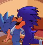  big_breasts big_butt big_penis breasts butt dreamcastzx1 female hedgehog hornybunny huge_penis male mammal penis selfcest sonic_(series) sonic_the_hedgehog square_crossover 