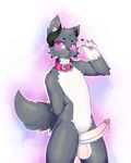  2017 anthro balls blush canine collar digital_media_(artwork) erection fur horn humanoid_penis looking_at_viewer male mammal nude penis ragna-zinnye ruchi simple_background smile solo standing 